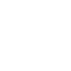 Bee Propolis Brasil
